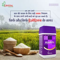 Crystal Azotrix (Azoxystrobin 16.7 % + Tricyclazole 33.3 % SC) Fungicide, Promotes Robust Plant Growth And Resilience. 2