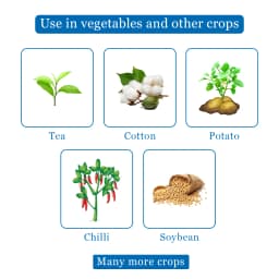 पीआई इंडस्ट्रीज फोस्माइट एथियॉन 50% ईसी कीटनाशक, मकड़ी, स्केल्स, थ्रिप्स, सफेद मक्खी आदि को नियंत्रित करने के लिए उपयोग करें 4