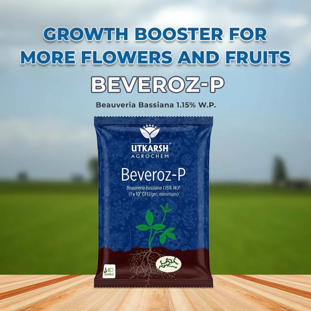 Utkarsh Beveroz-P (Beauveria Bassiana 1.15% W.P.) Bio Pesticides, It Provides Reliable Protection Against a Wide Range of Insect Pests - Image 2