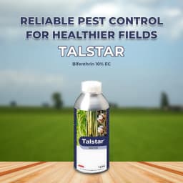 FMC Talstar Bifenthrin 10% EC Insecticide, Control On Various Sucking And Chewing Pests 2