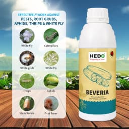 HEDO Beveria (Beauveria Bassiana) Liquid Bio Pesticide, Controls Sucking Pests, Grubs, Termites, And Bollworms Effectively 2