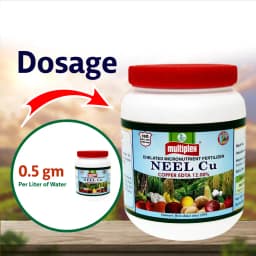 Multiplex Neel Cu Copper EDTA 12%, Chelated Micronutrient Fertilizer For All Crops 4