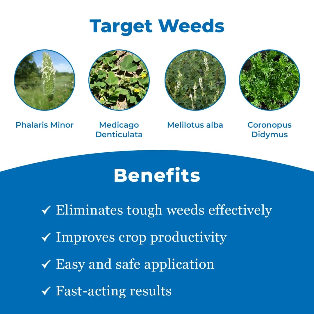 UPL Vesta Clodinafop propargyl 15% + Metsulfuron methyl 1% WP, Post Emergent Herbicide. - Image 3