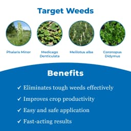 UPL Vesta Clodinafop propargyl 15% + Metsulfuron methyl 1% WP, Post Emergent Herbicide. 3