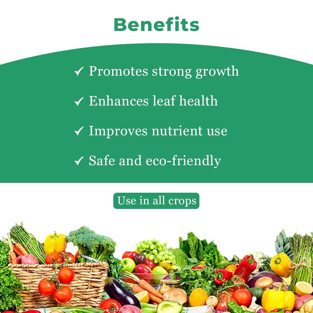 BACF Mirador Triacontanol 0.1% EW, Increases Plant Photosynthesis, Plant Growth Regulator - Image 4
