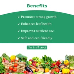 BACF Mirador Triacontanol 0.1% EW, Increases Plant Photosynthesis, Plant Growth Regulator 4