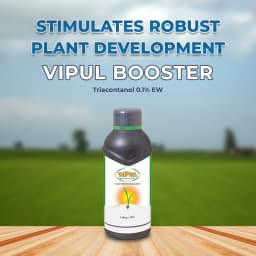 Godrej Agrovet VIPUL BOOSTER Triacontanol 0.1% EW, Plant Growth Regulator 2