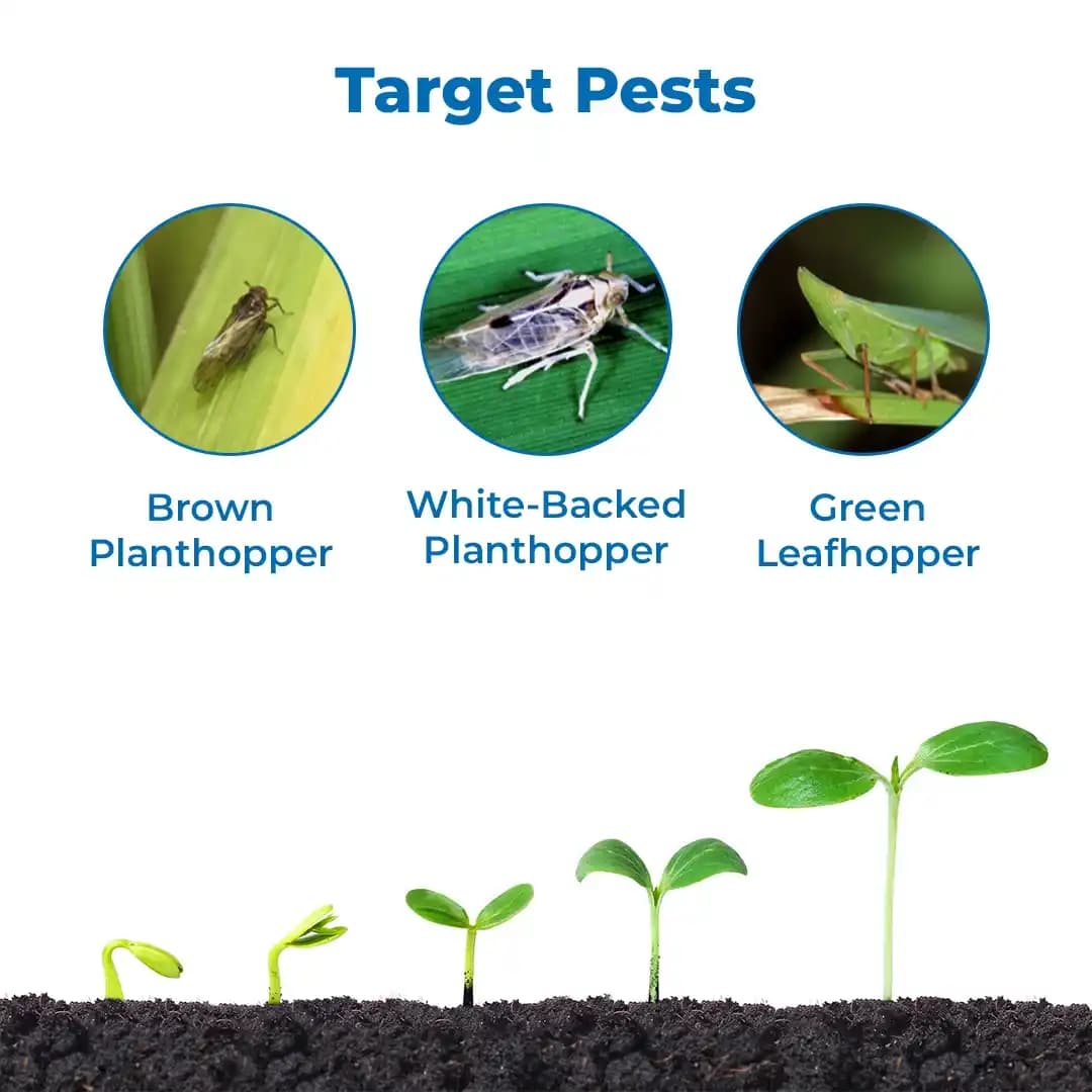 Katyayani BPH SUPER Pymetrozine 50% WG Systemic Insecticide For Control Rice Plant Hopper Paddy Brown Plant Hopper & All Stages of Aphids, Whiteflies - Image 2