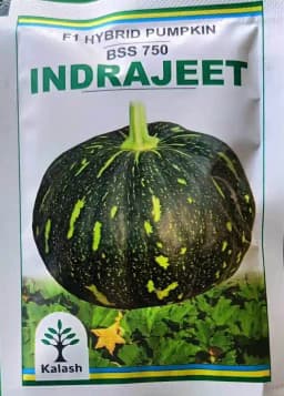 Kalash Pumpkin Bss 750 Indrajeet Hybrid Seeds, Flat Round Shape, Green with White Dots 1