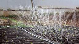 Radhe Rain Pipe 300 Micron, 40 mm And 100 Mtr Length Without Accessories, Provides Consistent Water Distribution 4