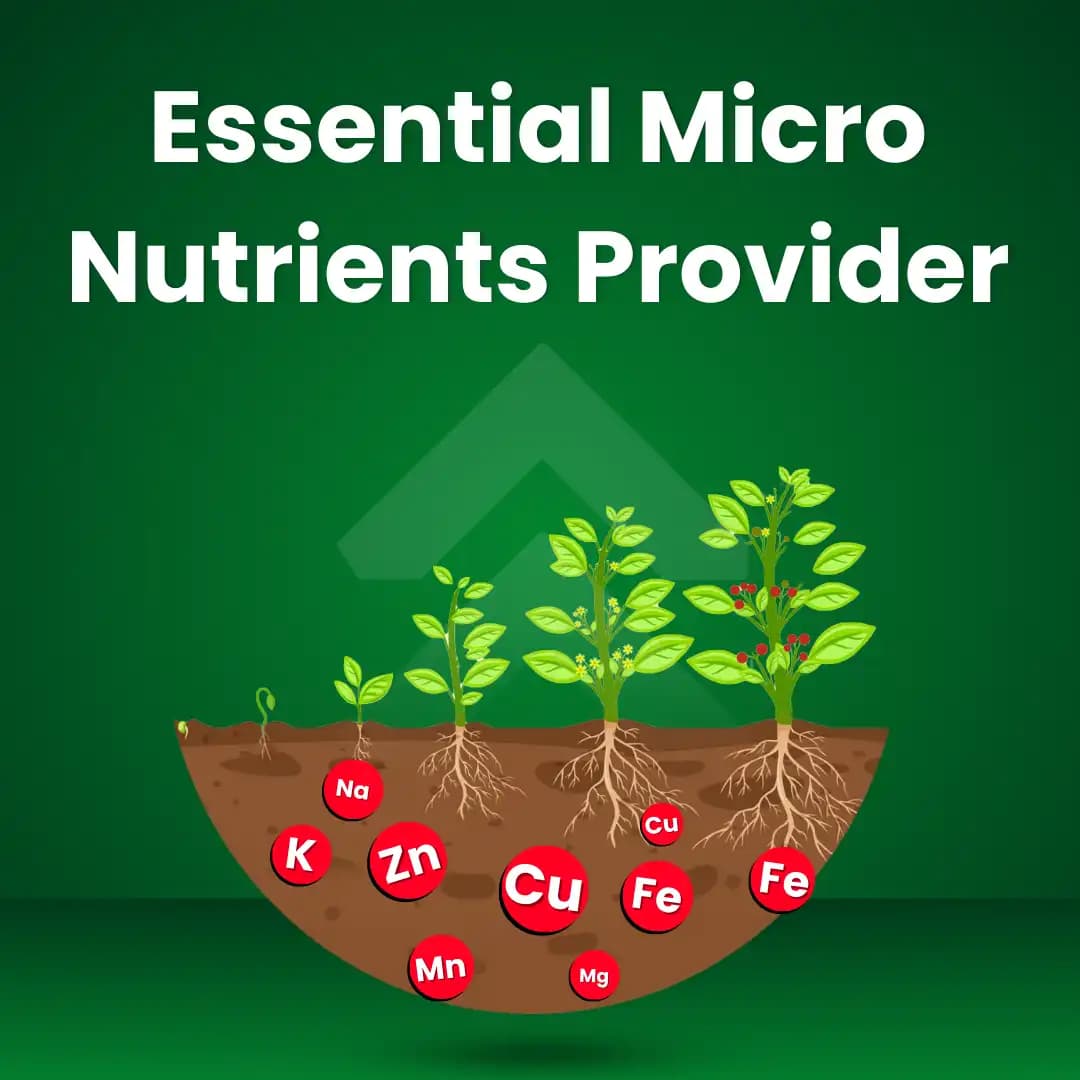 कात्यायनी चीलेटेड मिक्स माइक्रोन्यूट्रिएंट सुपर, घरेलू बग़ीचा, नर्सरी और कृषि उपयोग के लिए उन्नत खाद - Image 3