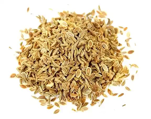 S K ORGANIC Red Carrots Seeds (Gajarbeej) For Cultivation And Microgreens - Image 2