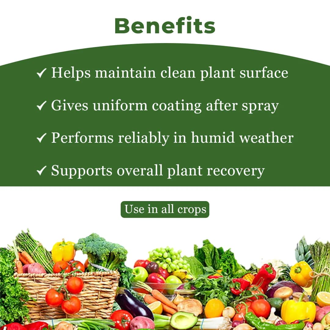 Agriventure Difen (Difenoconazole 25 % Ec) Fungicide, Best For Paddy, Chilli, Cumin And Onion - Image 4