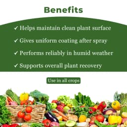 एग्रीवेंचर डिफेन (डिफेनोकोनाज़ोल 25% ईसी) कवकनाशी, धान, मिर्च, जीरा और प्याज के लिए सर्वोत्तम 4