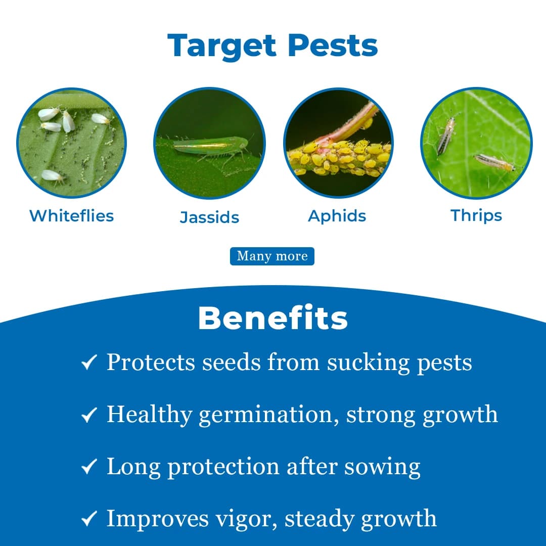 Dhanuka Areva Super Insecticide - Image 3