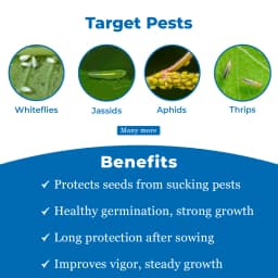 Dhanuka Areva Super Thiamethoxam 30% FS Insecticide, Systemic Seed Dressing For Seed Protection 3