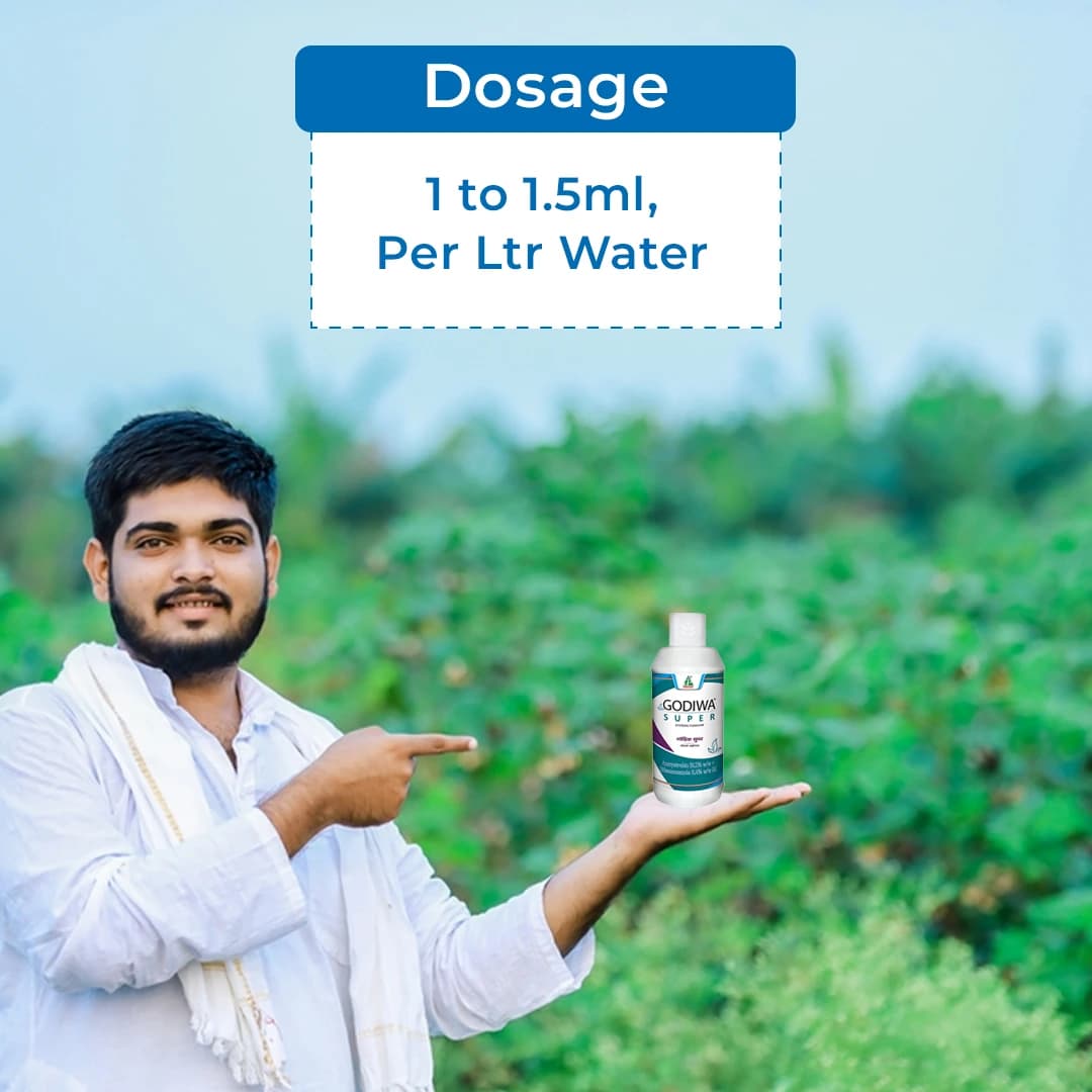 Dhanuka Godiwa Super Fungicide - Image 5