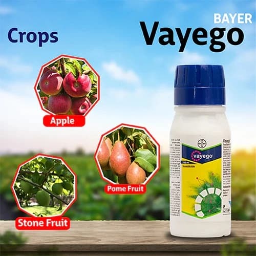 Bayer Vayego Tetraniliprole 200 SC Insecticide, Control On Adults And Larvae - Image 6