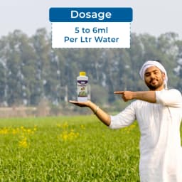 Easykrishi GreeNgrowth Plus Plants Growth Promoter & Nutrients Enhancer for All Types of Plants 5