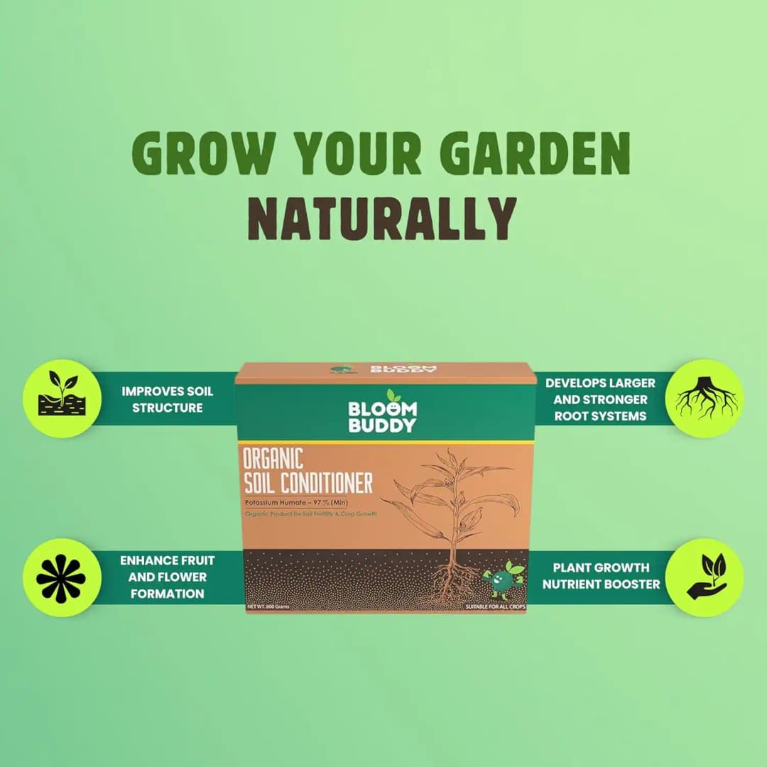 BloomBuddy Organic Soil Conditioner, Potassium Humate 97% Fertilizer For Healthy Plant Growth - Image 3