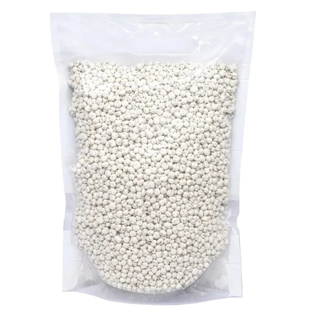 SporeKart White Oyster Mushroom Spawn, Seed White Color With Silky Surfaces - Image 3