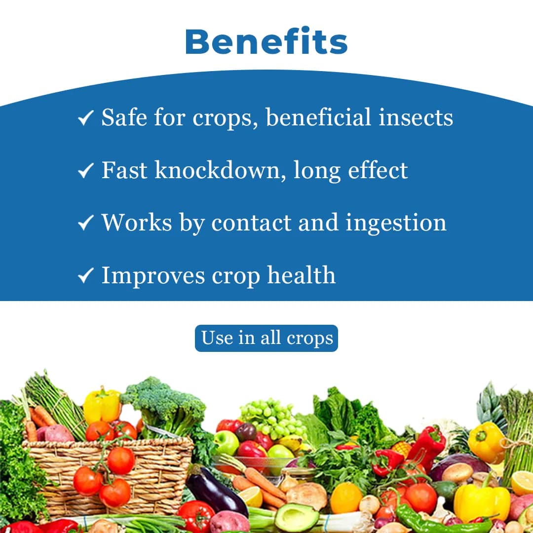 Darrick Rick D 505 Chlorpyriphos 50% + Cypermethin EC 5% Insecticide, Used to Control Chewing and Sucking Insect - Image 4