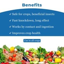Darrick Rick D 505 Chlorpyriphos 50% + Cypermethin EC 5% Insecticide, Used to Control Chewing and Sucking Insect 4