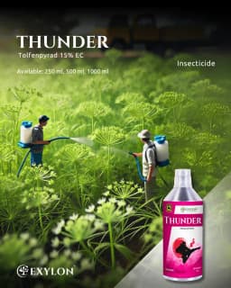 Exylon Thunder Tolfenpyrad 15% EC Insecticide, Broad-Spectrum Pest Control For Whiteflies, Thrips And Caterpillars 2
