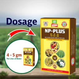 Multiplex NP-Plus Npk 12:61:00 Fertilizer, Nitrogen And Phosphorus For Better Root Growth, Higher Yield 4