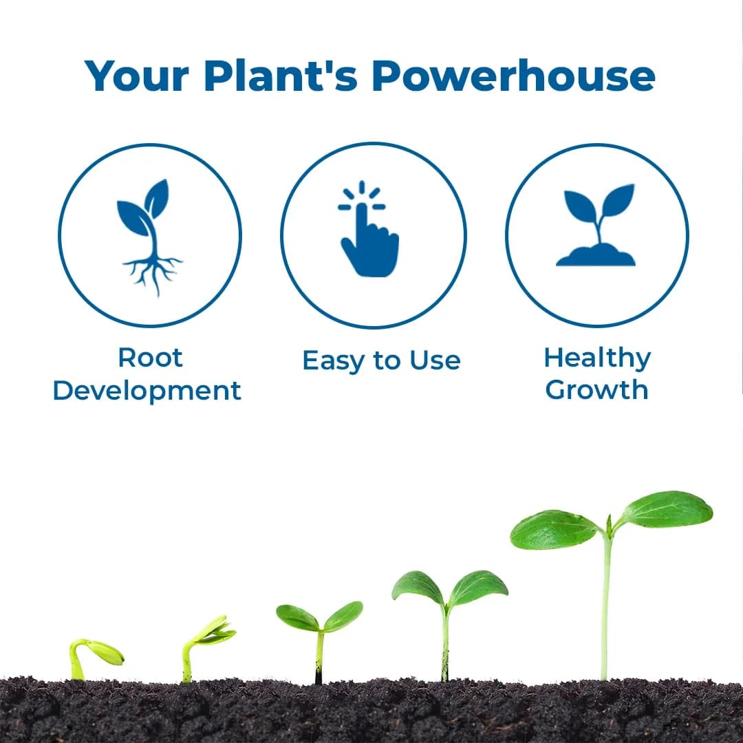 NPK 13:00:45 - Potassium Nitrate Fertilizer - Image 3