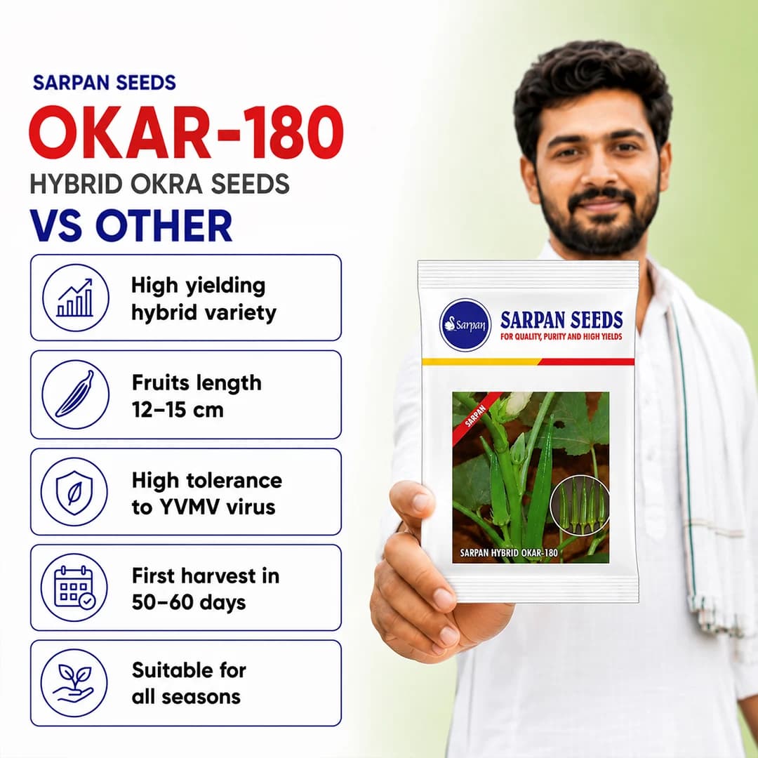 Sarpan F1 Hybrid Okra 180, Bhindi Seeds, Suitable For Kharif, Rabi And Early Summer - Image 3