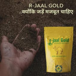 Biowall r-Jaal Gold VAM (Vesicular Arbuscular Mycorrhiza) Root Development and Nutrient 5