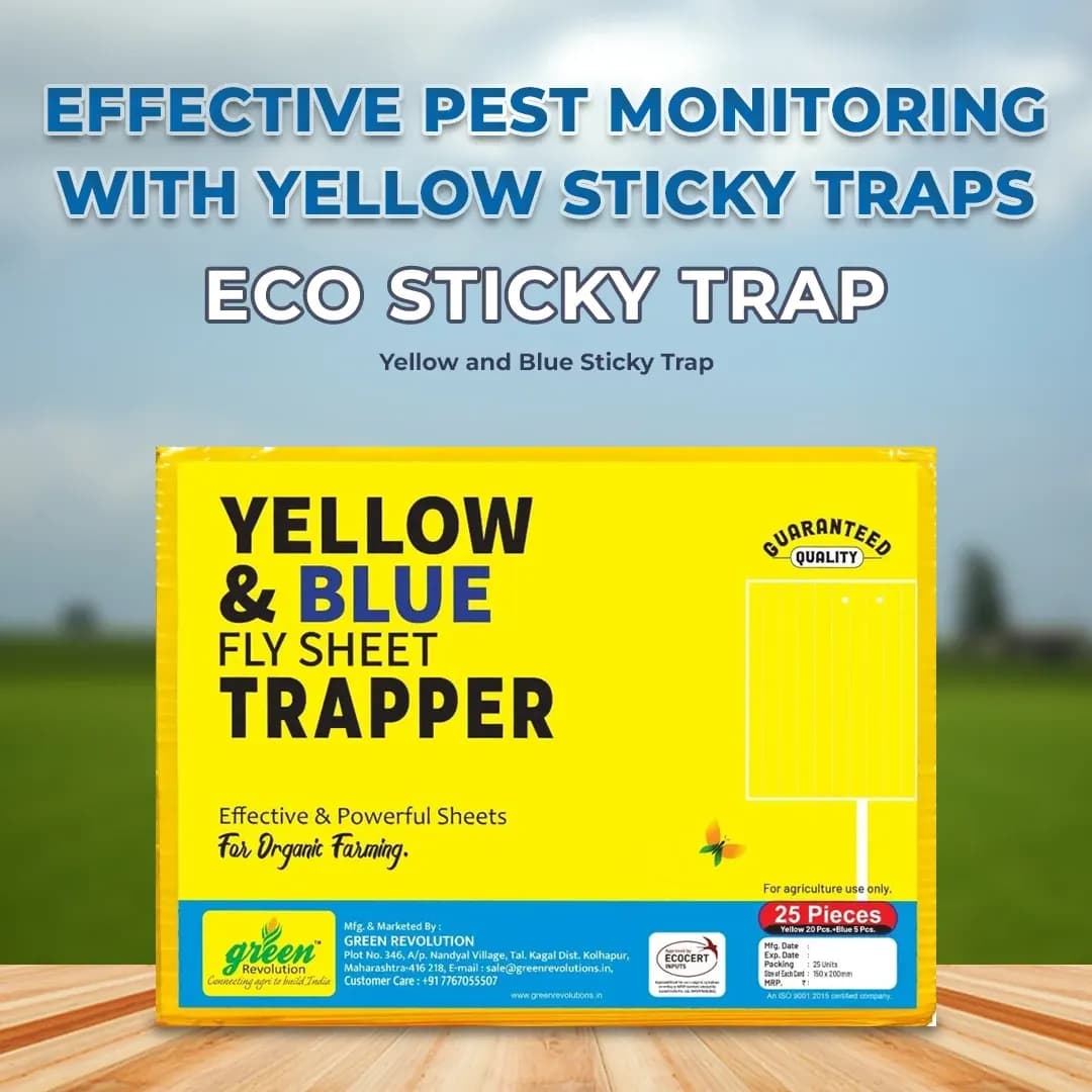 Eco Sticky Trap A5 Size, Yellow and Blue Sticky Trap For The Insects (20 No Yellow, 5 No Blue) Best for organic Vegetable and Fruits farming pest Control - Image 2