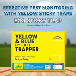 Eco Sticky Trap A5 Size, Yellow and Blue Sticky Trap For The Insects (20 No Yellow, 5 No Blue) Best for organic Vegetable and Fruits farming pest Control 2