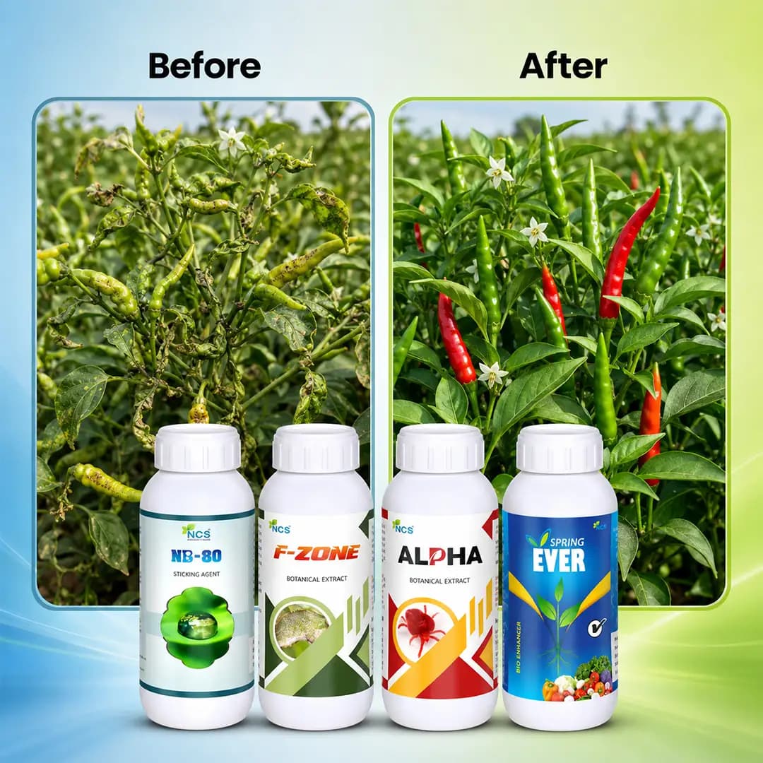 Suraksha Kit For Thrips And Mites Control at Growth Stage 40-45 Days (F-Zone 250 ML + Alpha Bio 250 ML + Spring Ever 1 Ltr + NB 80 250 ML) - Image 7