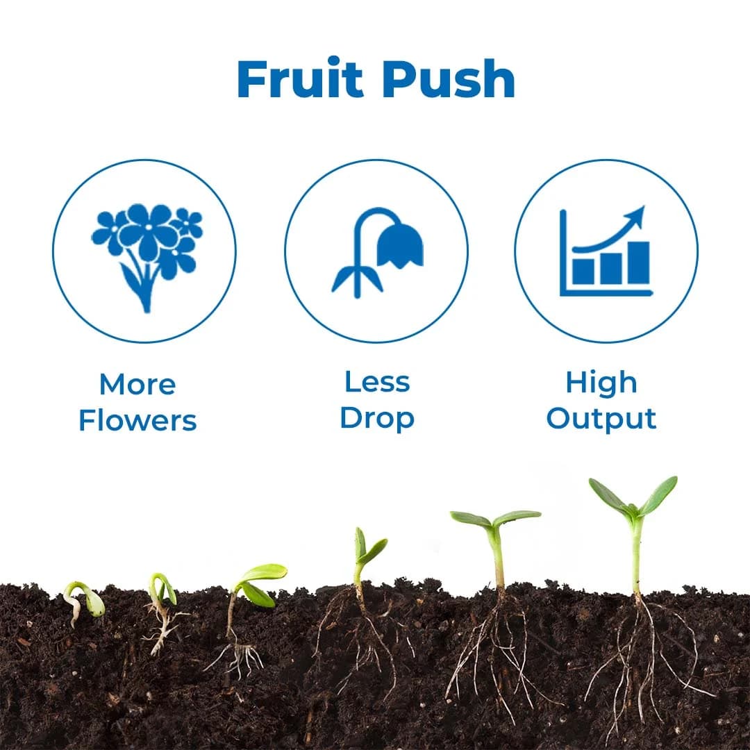 Utkarsh Beveroz-P (Beauveria Bassiana 1.15% W.P.) Bio Pesticides, It Provides Reliable Protection Against a Wide Range of Insect Pests - Image 3