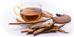 Sporekart Ganoderma Mushroom Spawn Seed, No Artificial Flavors, No Preservatives, Totally Organic 4