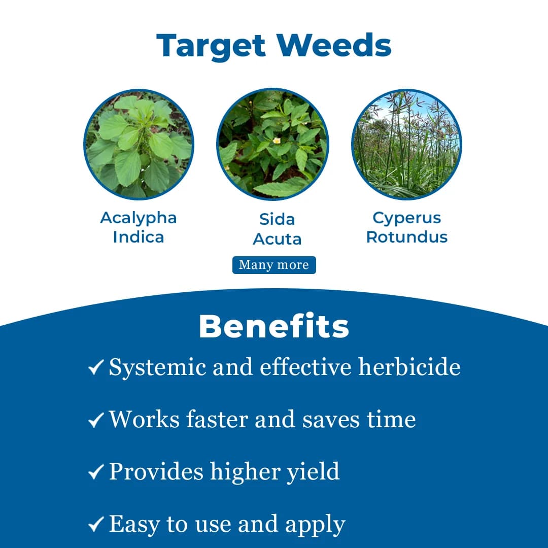 Glyox Ammonium - Salt of Glyphosate 71% SG, Systemic Herbicide Effective Against Broadleaf Weeds in Tea and Non-Cropped Areas - Image 3