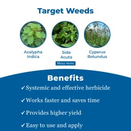 Glyox Ammonium - Salt of Glyphosate 71% SG, Systemic Herbicide Effective Against Broadleaf Weeds in Tea and Non-Cropped Areas 3