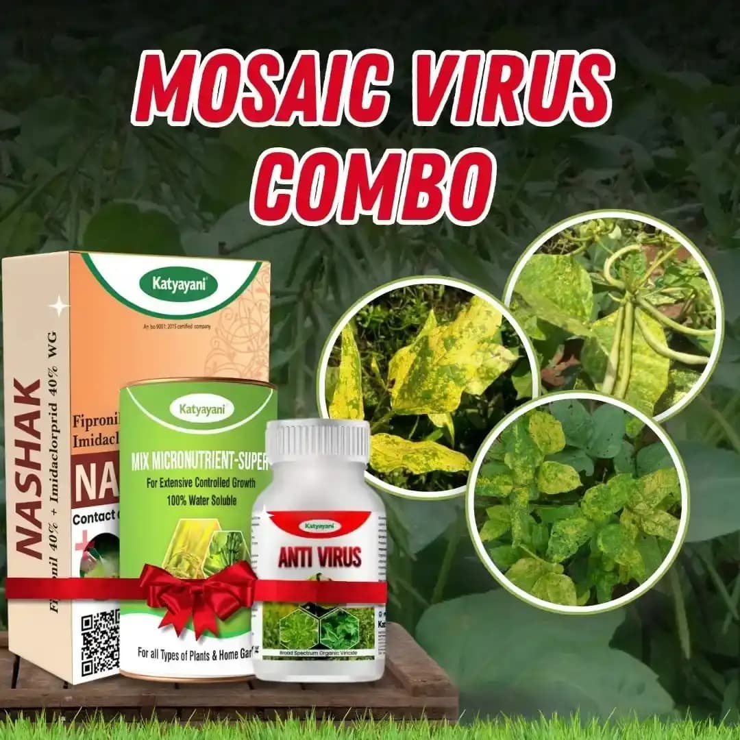 Katyayani Mosaic Virus Combo Kit, Protection And Growth Solution (Nashak 100gm, Mix Micro Nutrients 100gm, Antivirus 500ml) - Image 2