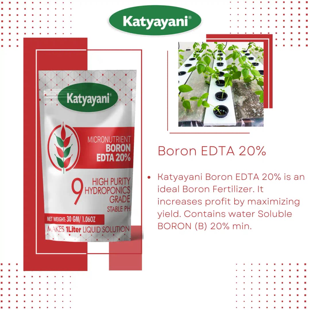 Katyayani Boron 20% EDTA Micronutrient Fertilizer, Hydroponics Grade, Water-Soluble and Enhanced Nutrient Uptake - Image 2
