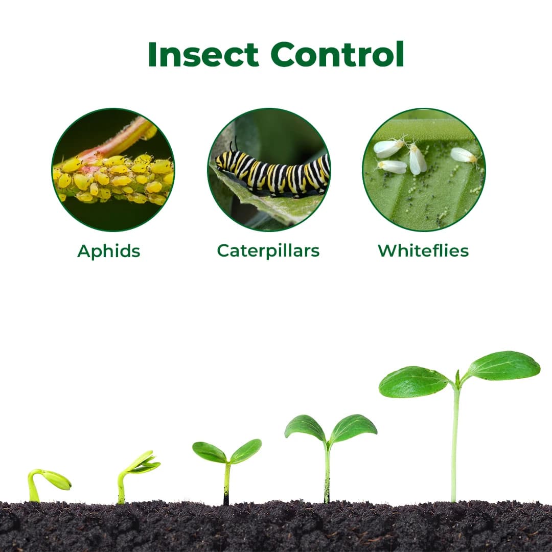 Exylon LambdaMax Lambda Cyhalothrin 5% EC Insecticide, Fast Knockdown And Lasting Control Of Bollworms, Aphids And Whiteflies In Crops - Image 3