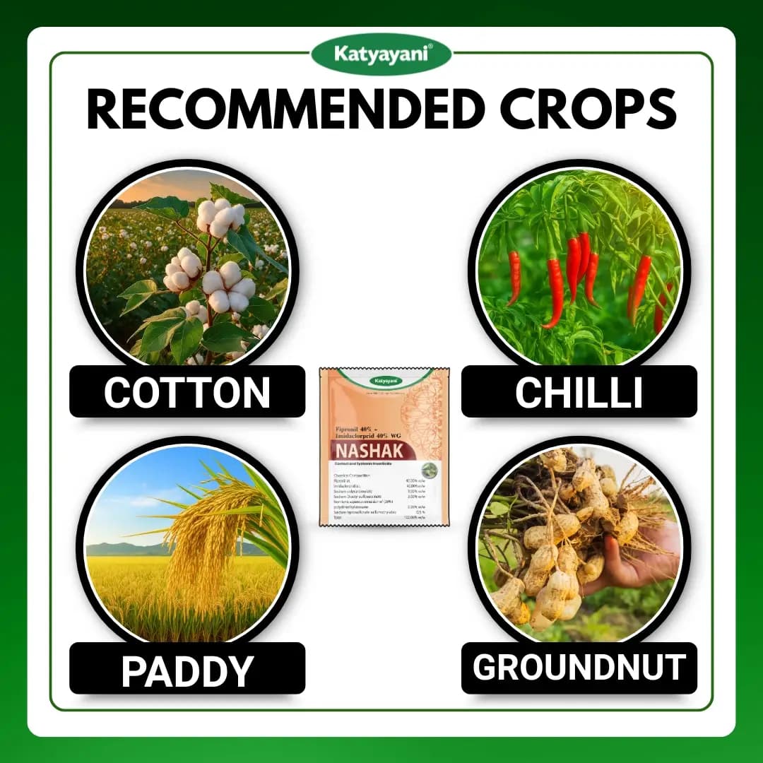 Katyayani Nashak Insecticide - Contact And Systemic Insecticide - Image 4