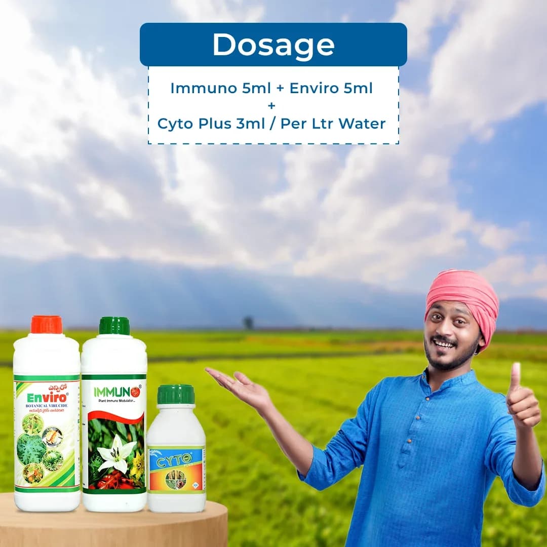 YK Laboratory Papaya Special (Set of Immuno 1 ltr + Enviro 1 ltr + Cyto Plus 550ml) - Image 5