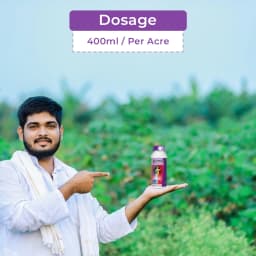 Godrej Rashinban Fluxametamide 3.8% + Pyridaben 9.5% SC Insecticide, Broad Spectrum, Targeting Sucking and Chewing Pests, Effective For Chilli 5