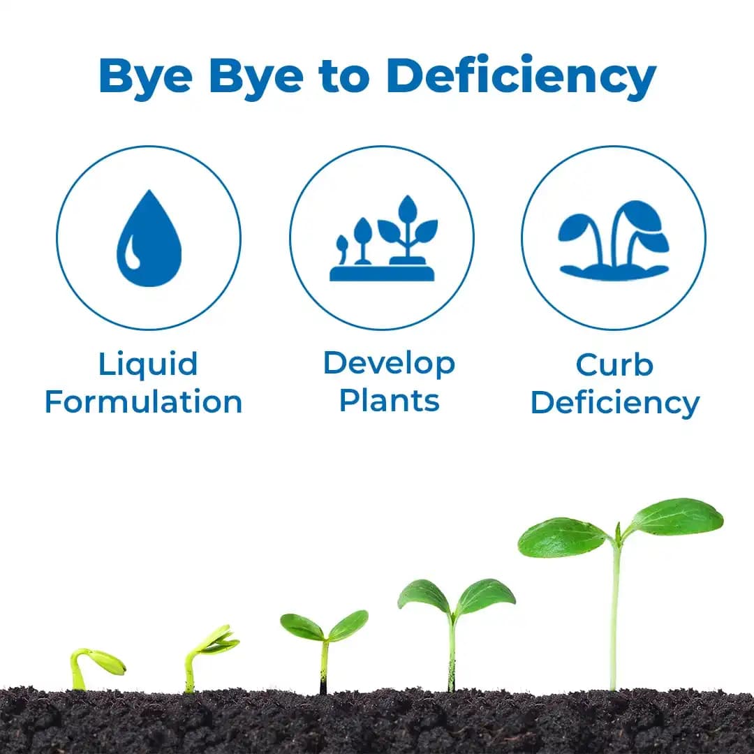 Jaipur Bio Fertilizers Boro Power Boron Ethanolamine 10% EC Suspension Concentrate For Plants. - Image 3