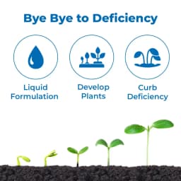 Jaipur Bio Fertilizers Boro Power Boron Ethanolamine 10% EC Suspension Concentrate For Plants. 3