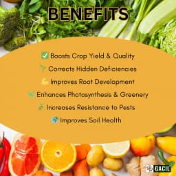 GACIL Micronutrient Mixture Fertilizer for Vegetable, Fruits And All Type of Farming Crops (Gujarat Grade-5 For Soil Application) 4