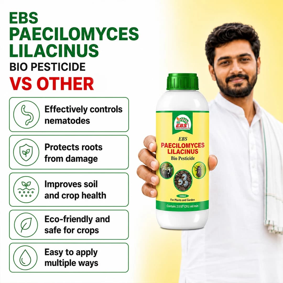 EBS Paecilomyces Lilacinus Bio Pesticide, Control Of Root - Knot Nematode, Ramiform Nematode, Cyst Nematode, Golden Cyst Nematode On All Crops - Image 6