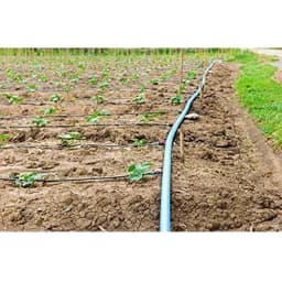 Siddhi Inline 16mm Drip Pipe, In Built Dripper, 4 Liter Water Discharge per Hour, Length-100 Meters 7